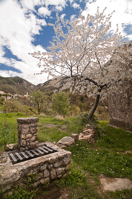 Retour du printemps