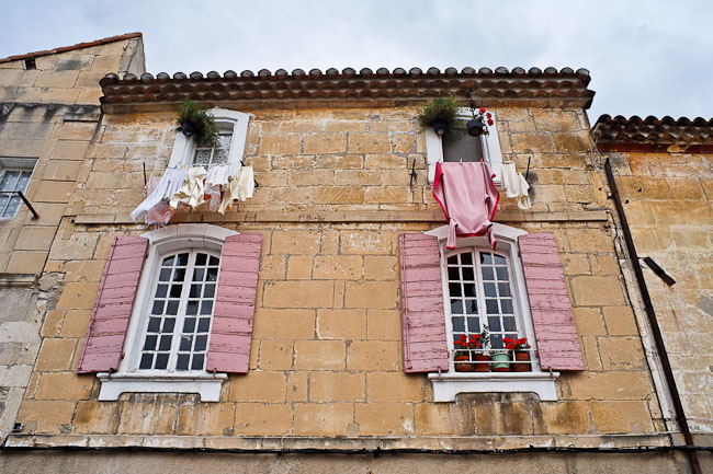 Rose de façade